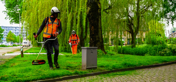 Groen personeel onderhoud