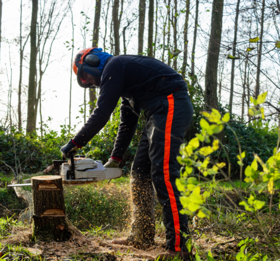 Cursus groenpersoneel