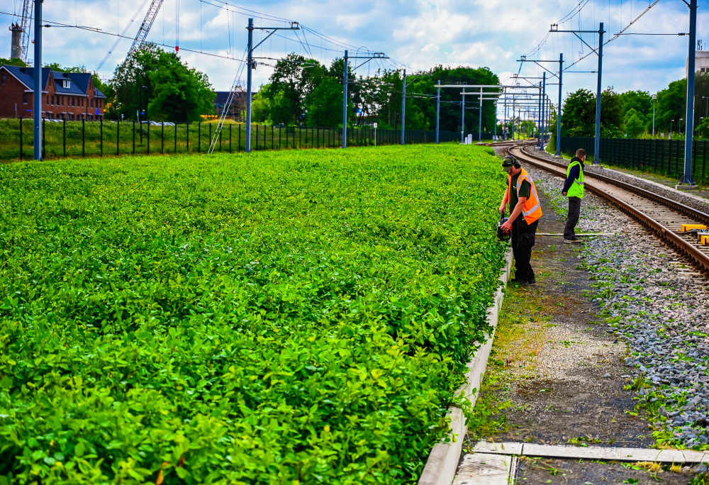 Veligheid op de werkplek in de groenvoorziening