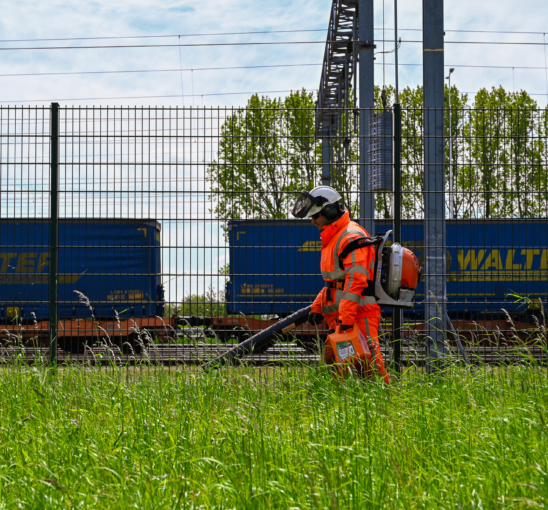 Groenproject langs het spoor